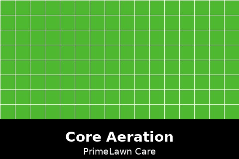 Core Aeration