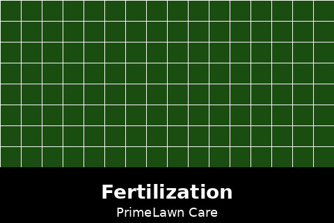 Fertilization