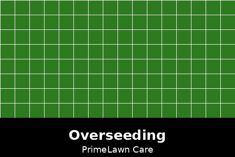 Overseeding