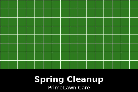 Spring Cleanup